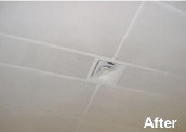 ceilingdoctor008020.jpg